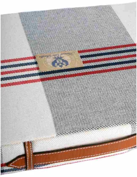 Almohadilla Beige con Rayas en Azul y Roja