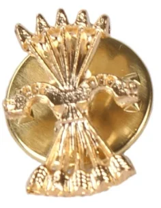 Pin Falange Silueta