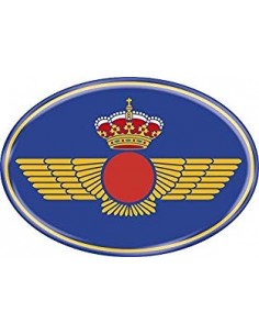Pegatina Roquiski Ejército del Aire Mediana