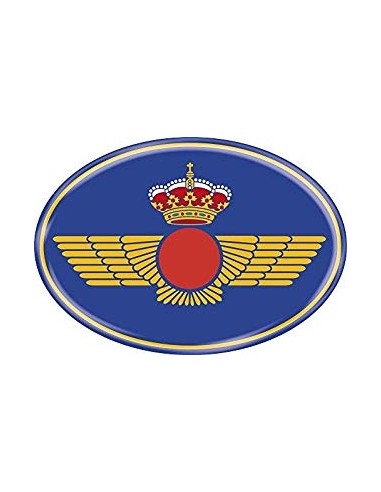 Pegatina Roquiski Ejército del Aire Mediana