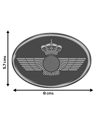Pegatina Roquiski Ejército del Aire Mediana