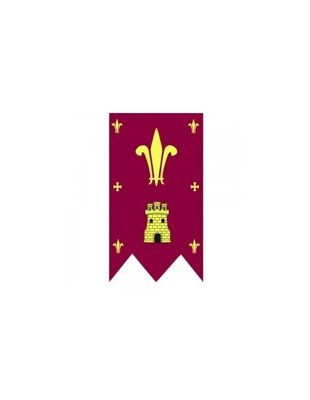 Bandera Personalizada Vertical Tipo Medieval