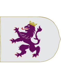 Bandera Personalizada Impresa Raso Tipo Medieval 2