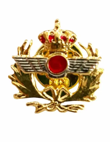 Pin Aviación