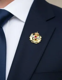 Pin Aviación 2