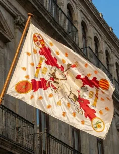 Bandera Estandarte de Santiago Raso