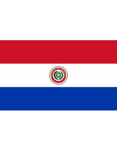 Bandera República del Paraguay