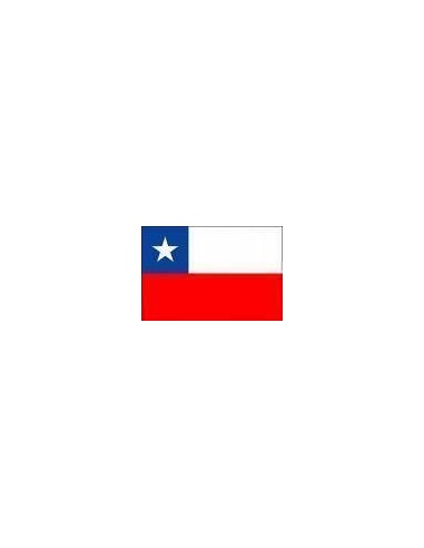 Bandera República de Chile