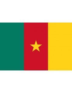 Bandera República del Camerún