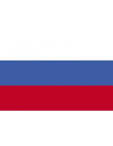 Bandera República Eslovaca o Eslovaquia